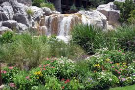 Beautiful gif beautiful world beautiful pictures gif pictures nature pictures beautiful waterfalls beautiful landscapes gif bonito. 8 Hot Landscaping Trends For Orlando Florida Lawnstarter