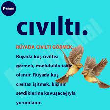 instagram da ruyahal ruya tabirleri ruyada civilti gormek ruyada kus civiltisi gormek mutlulukla tabir olunur ruyada kus civiltisi isitmek kis in 2021