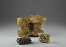 Roman Astragalus 1st 4th Century A D Roman Astragalus Bone Astragalus Filled With Lead And Lead Astragalus Private Collecti Greek Game Greek Lion Sculpture