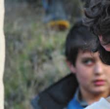 Pateke Survival Guide