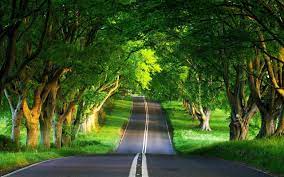Check spelling or type a new query. Beautiful Dreamy Street Road Scenery Hd Photography Wallpaper 9 Wallpapers Nature Desktop Wallpaper Nature Desktop Hd Nature Wallpapers