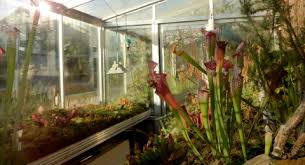 It is open daily without charge. Gewachshauser Botanischer Garten Kiel