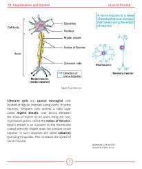 Biology 10 Pages 51 100 Text Version Pubhtml5