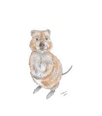 Quokka Aquarelle By Valpuri Rock Art Watercolor Paintings Miniature Painting