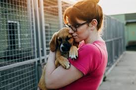 Puppies and kittens 5 months and younger are not able to visit before going home for adoption. The 7 Best Pet Adoption Agencies Of 2021