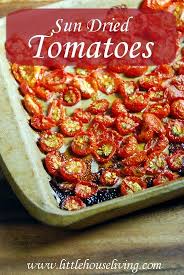 How To Make Sun Dried Tomatoes Recipe Tomato Recipes Make Sun Dried Tomatoes Recipes