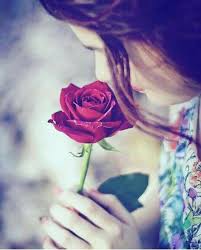 Broken dpz, herst broken, sad dpz, girls dpz, sad girls, girls hand dpz, #girlsdpz #girlshandpics. 120 Rose Dpz Ideas Rose Beautiful Roses Beautiful Flowers