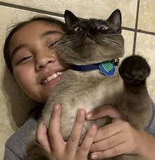 Tessy, was a beautiful cat lady in the making