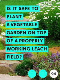 Plant onion starts and potatoes around march 24. Learn Is It Safe To Plant A Vegetable Garden On Top Of A Properly Working Leach Field How To Guides Tips And Tricks Vegetable Garden Garden Plants
