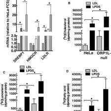 Eventually, these deposits grow, making it difficult for enough blood to flow through your arteries. Pdf Oxysterol Binding Protein Related Protein 1l Regulates Cholesterol Egress From The Endo Lysosomal System