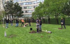 New selection of fruit trees available around february of each new year and are available while supplies last. Bare Root Trees When Should You Plant Them