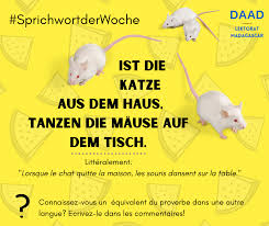 Übersetzung für ist die katze aus dem haus im englisch. Sprichwortderwoche Proverbe Daad Lektorat Madagascar Facebook