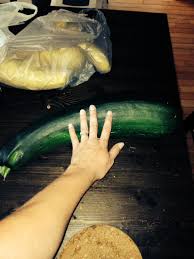 These cookies may be set through our site by our advertising partners. Huge Zucchini Food52