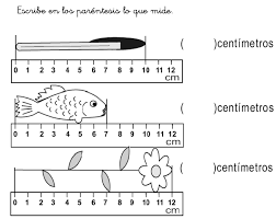 metros y centímetros