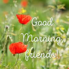 Here you can download free and good morning flowers for friend and send it to a friend or girlfriend. Goodmorning Friends Spring Flowers