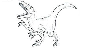 coloriage dinosaure dessin velociraptor a imprimer in 2021 drawing dinosaur coloring pages emma