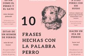 Maybe you would like to learn more about one of these? 10 Frases Hechas Con La Palabra Perro La Pagina Del Espanol
