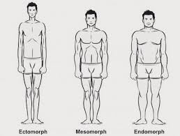 Securing existing and future public and. Do You Have The Best Bjj Style For Your Body Type Bjj World