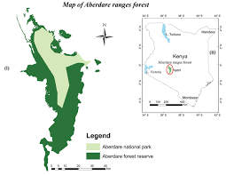 Image result for Hippocratea goetzei