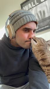 Temporary bird foster care needed