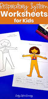 Respiratory System Worksheets For Kids Worksheets For Kids Science Activities For Kids Human Body Lesson