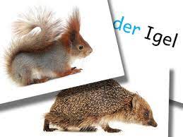 Sprachförderung 1 klasse bildkarten klein kostenlos : Sprachforderung 1 Klasse Bildkarten Klein Kostenlos Daz Archives Zahlen Lernen Addition Und Subtraktion Mit Oder Ohne Iris Forand