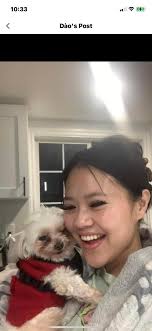 Lost Dog in Myall St