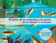 Image result for Orthopichonia cirrhosa