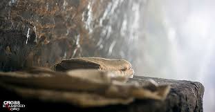 We did not find results for: A Case For The Resurrection The Empty Tomb