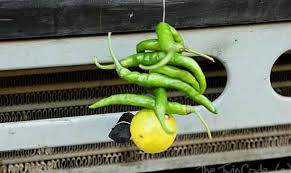 No bad effect will fall on you. Nimbu Mirchi Totka To Ward Of Evil Eye And Spirits Ancient Indian Tradition Of Protection Astropeep Com