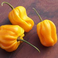 This south american pepper looks like a miniature bell pepper, and, like a bell pepper, can come in shades of orange, yelllow and red. The Big List Of Hot Peppers Cayenne Diane