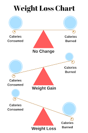 pin on weightloss