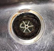 Free shipping on orders over $25 shipped by amazon. Self Professed Clean Freak Makes Disgusting Discovery In The Drain Of Her Kitchen Sink Daily Mail Online