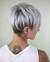 Pixie Short Hair Grey Highlights