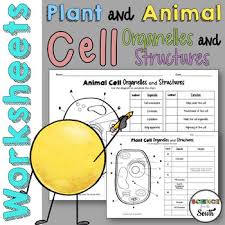 The similarities between the two have maintained themselves throughout history and the process of evolution because the circumstances each cell type faced were similar and needed similar tools. Plant And Animal Cell Organelles And Structures Worksheets Tpt