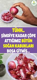 Ogrendikten Sonra Bir Daha Asla Sogan Kabuklarini Cope Atmayacaksiniz Sogan Pratik Bilgi Diet And Nutrition Food Health