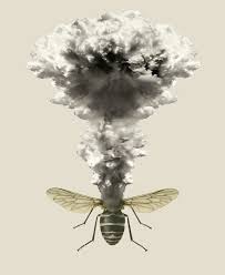 A pest in the house on wn network delivers the latest videos and editable pages for news & events, including entertainment, music, sports, science and more, sign up and share your playlists. The Insect Apocalypse Is Here The New York Times