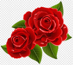 Kalender 2021 bulan agustus kalender 2021 desember lengkap kalender 2021 dan hari liburnya kalender 2021 bayern mit feiertagen excel kalender 2021 april lengkap kalender. Garden Roses Flower Red Rose Flower Arranging Floribunda Heart Png Pngwing