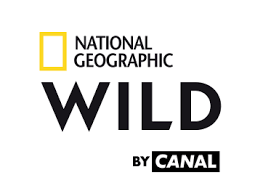 Les buts de la qualification du mhsc en vidéo. Fr3 Replay