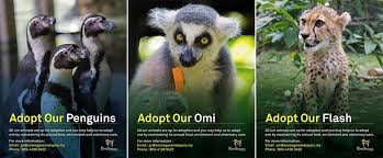 It was officially opened on 14 november 1963 by the country's first prime minister, tunku abdul rahman. Zoo Negara Lancarkan Kempen Haiwan Angkat Bagi Membantu Haiwan Tersebut