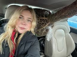 Elise Todd (@eliseat1) • Instagram photos and videos