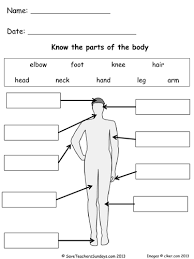 Body vocabulary for kids learning english printable resources 317610. Parts Of The Body Lesson Plan And Worksheets Teaching Resources