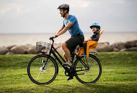 Thule Ridealong Lite Kindersitz Hinten Hellgrau Alltricks De