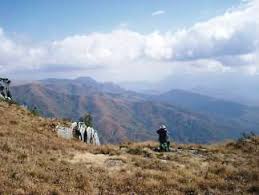 Image result for Kotschya aeschynomenoides