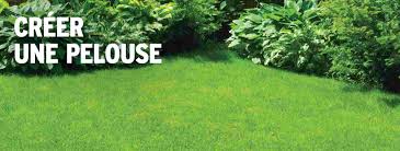 Maybe you would like to learn more about one of these? Creer Une Pelouse Gamma