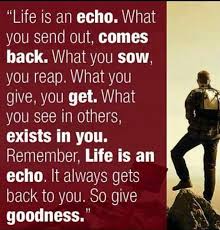 We did not find results for: Quotes About Reap What You Sow 36 Quotes