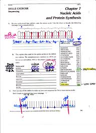 Answers For Worksheet On Dna Rna And Protein Synthesis