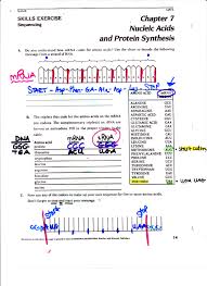 answers for worksheet on dna rna and protein synthesis