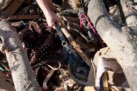 A Heartwrenching Scene in Harrisburg