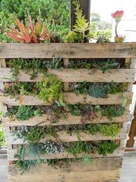 Stunning 30 Wood Pallet Wall Garden Ideas Https Gardenmagz Com 30 Wood Pallet Wall Garden Ideas Succulent Wall Garden Garden Wall Pallets Garden